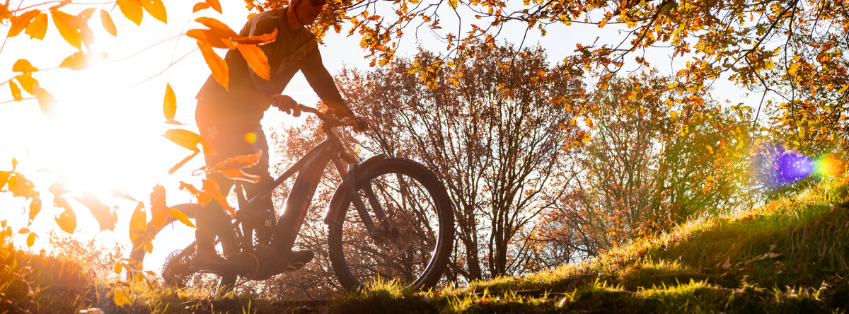 MTB